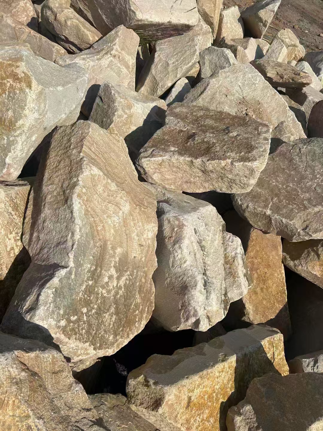 微信图片_20250427085136