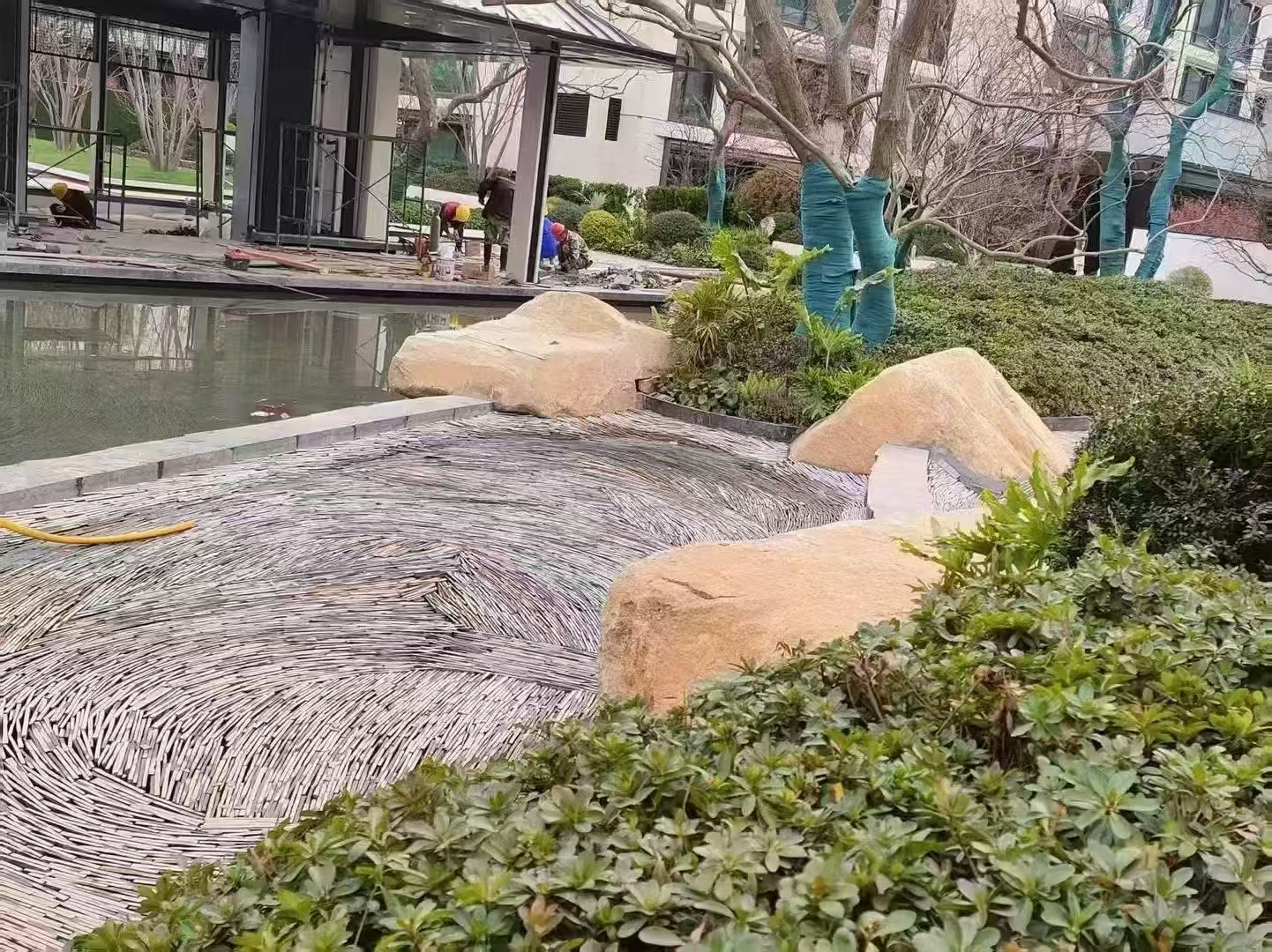 微信图片_20250427085150