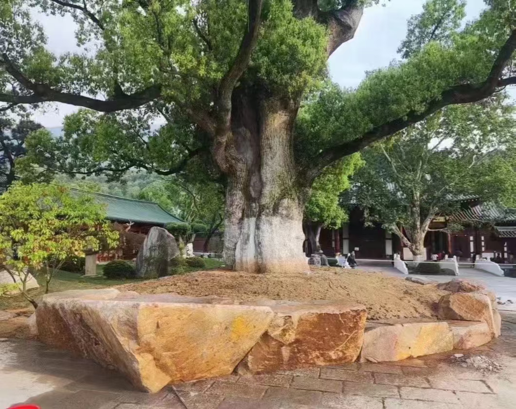 微信图片_20250427085219