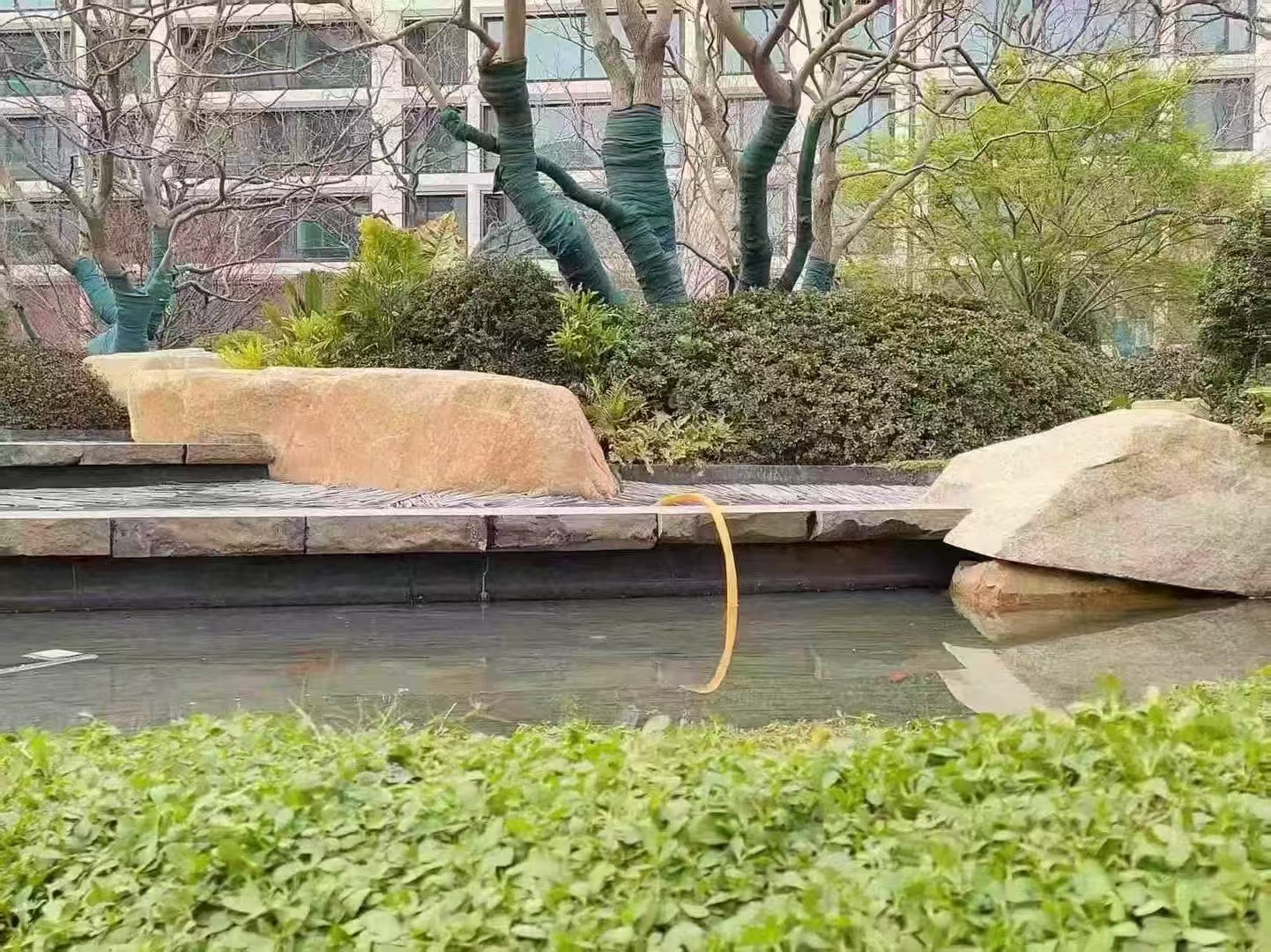 微信图片_20250427085201