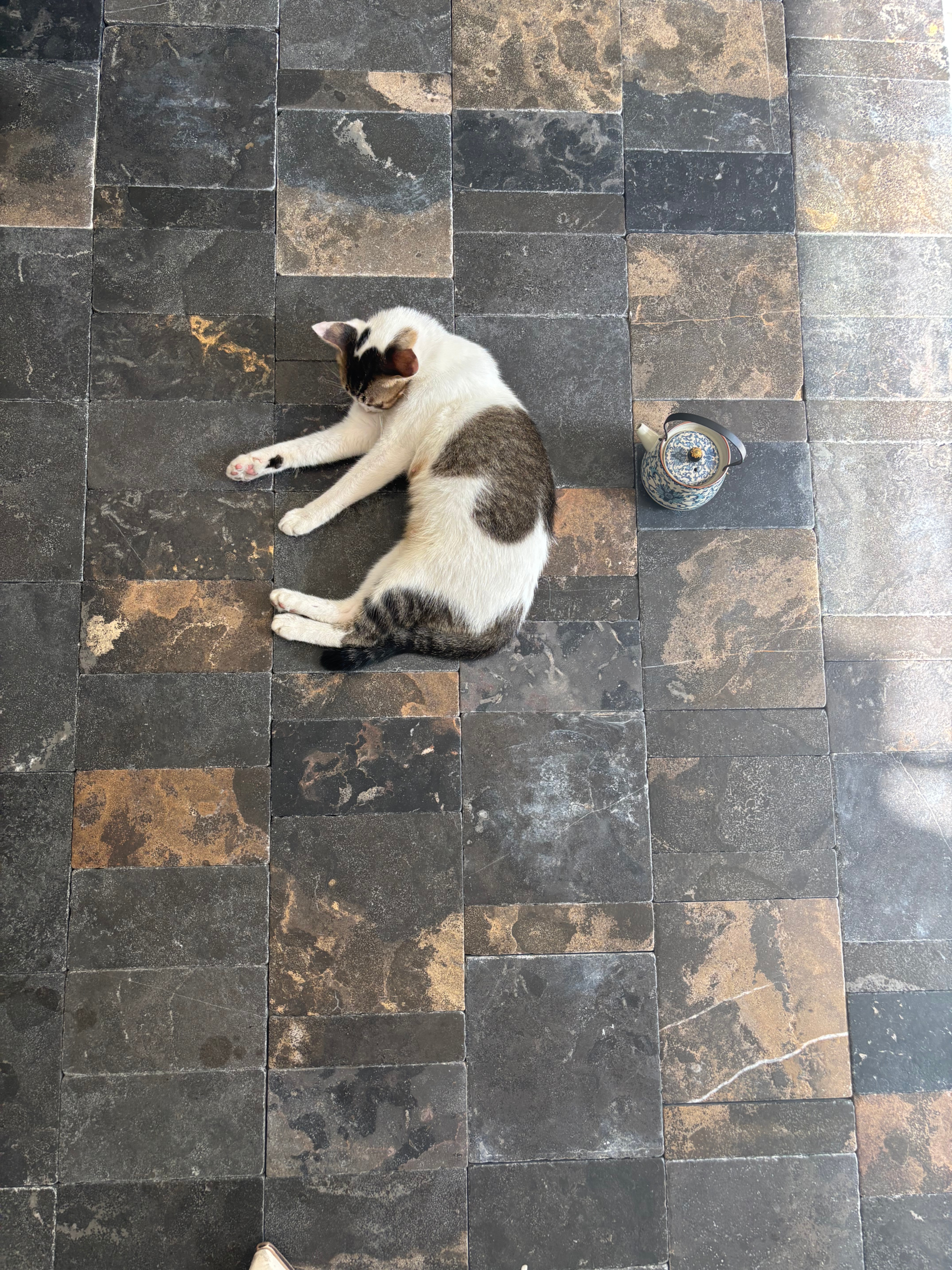 微信图片_20260311160745_105_49