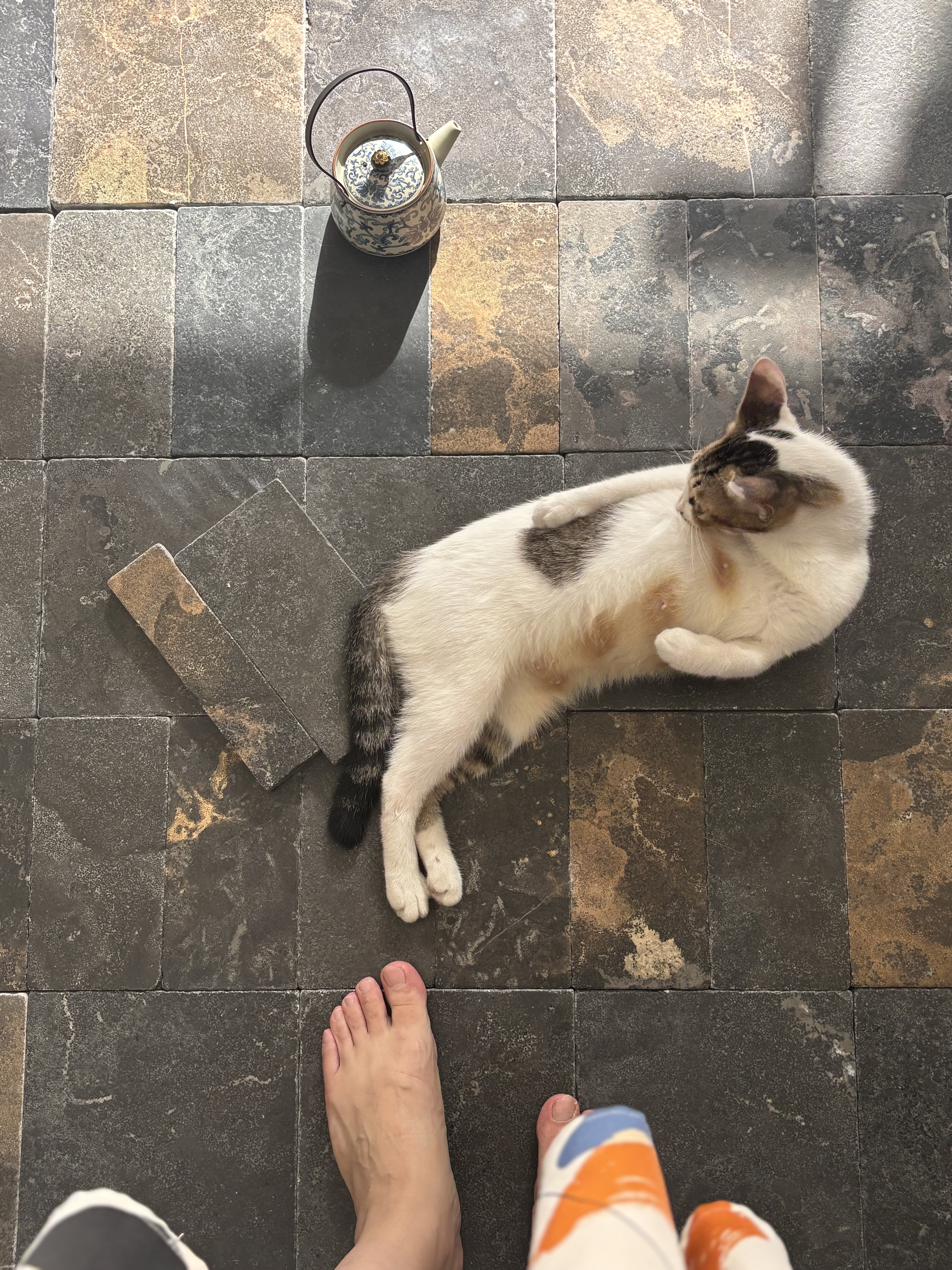 微信图片_20260311160747_106_49